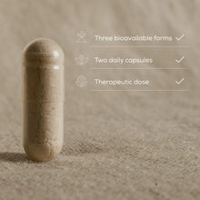 Load image into Gallery viewer, True Magnesium+